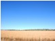 11-12 Olympic Way, Junee NSW 2663
