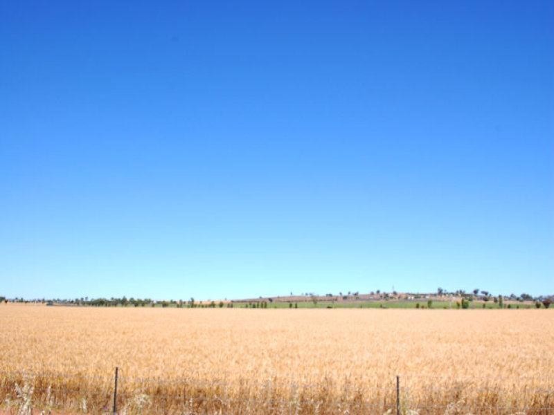 11-12 Olympic Way, Junee NSW 2663