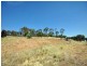 47 Kansas Drive, Wagga Wagga NSW 2650