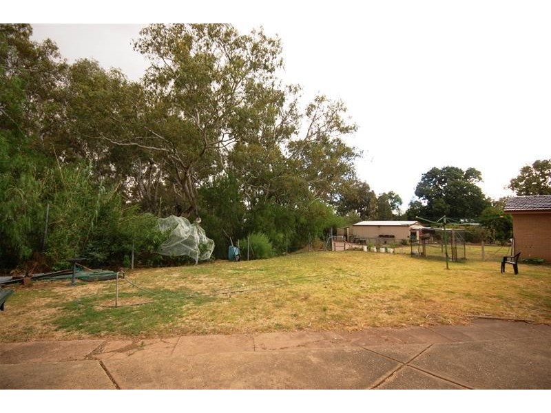 10 Norman Street, The Rock NSW 2655