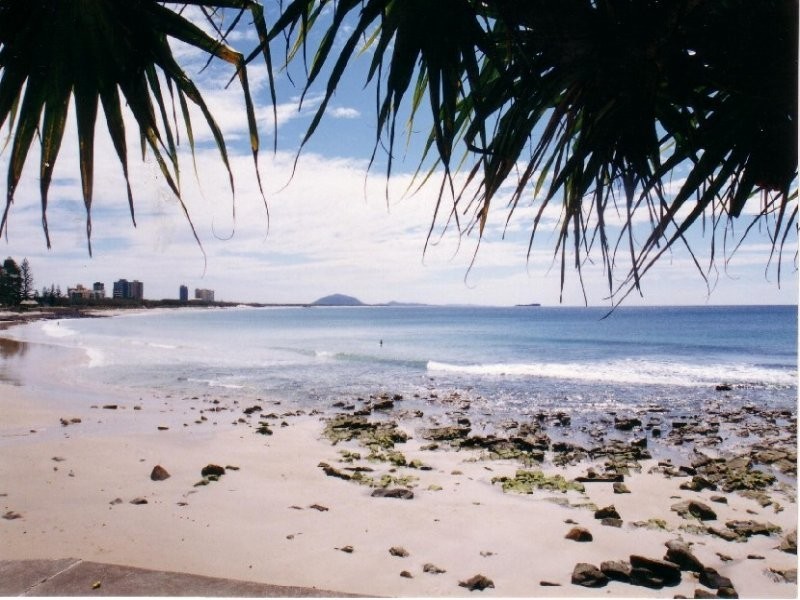 4 Dilli Court, Alexandra Headland QLD 4572