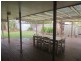 59 Amarina Avenue, Mooloolaba QLD 4557