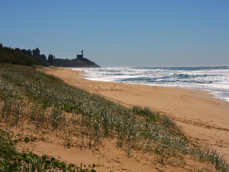 14/147 Lowanna Drive, Buddina QLD 4575