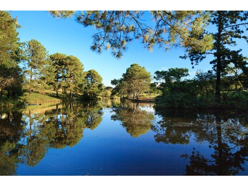 55 Happy Jack Creek Road, Ridgewood QLD 4563