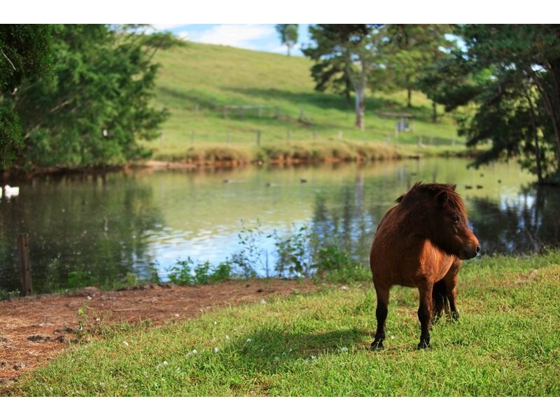 55 Happy Jack Creek Road, Ridgewood QLD 4563