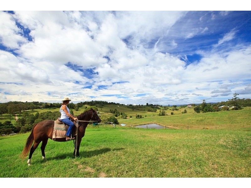 55 Happy Jack Creek Road, Ridgewood QLD 4563