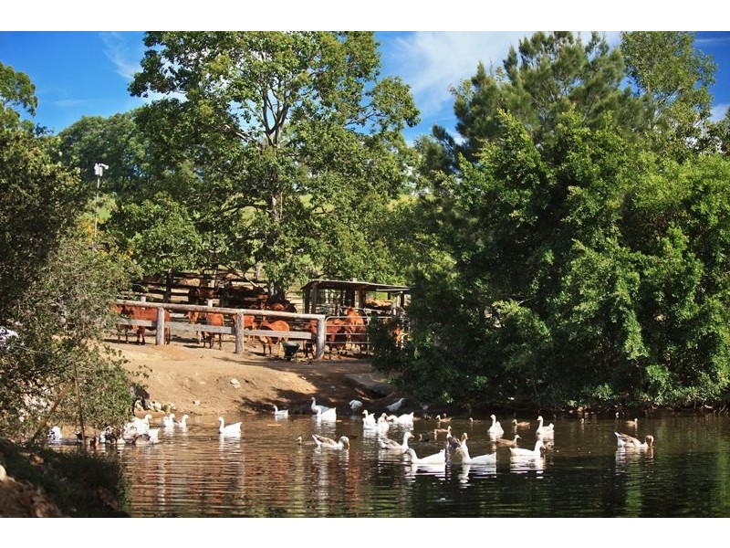 55 Happy Jack Creek Road, Ridgewood QLD 4563