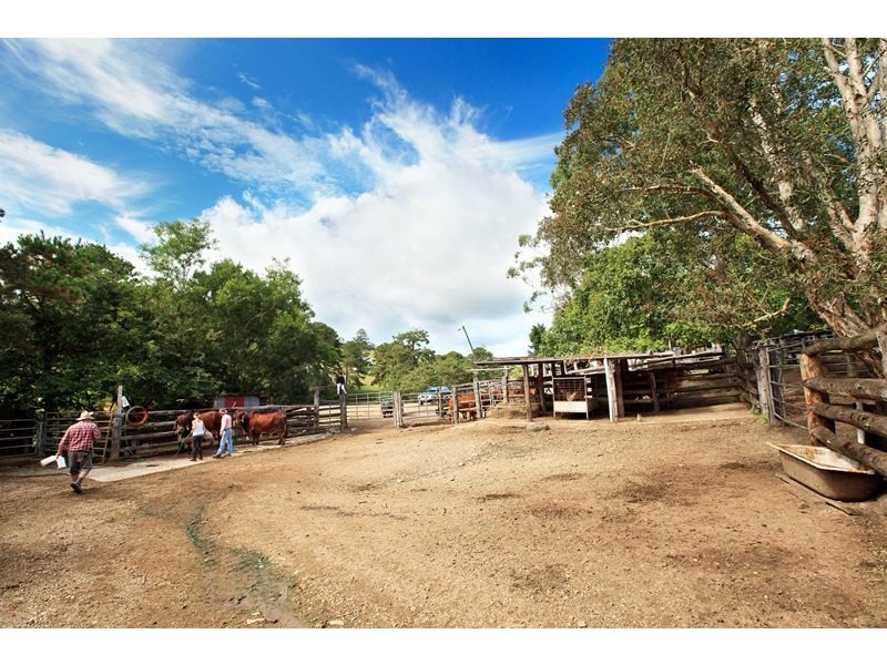 55 Happy Jack Creek Road, Ridgewood QLD 4563