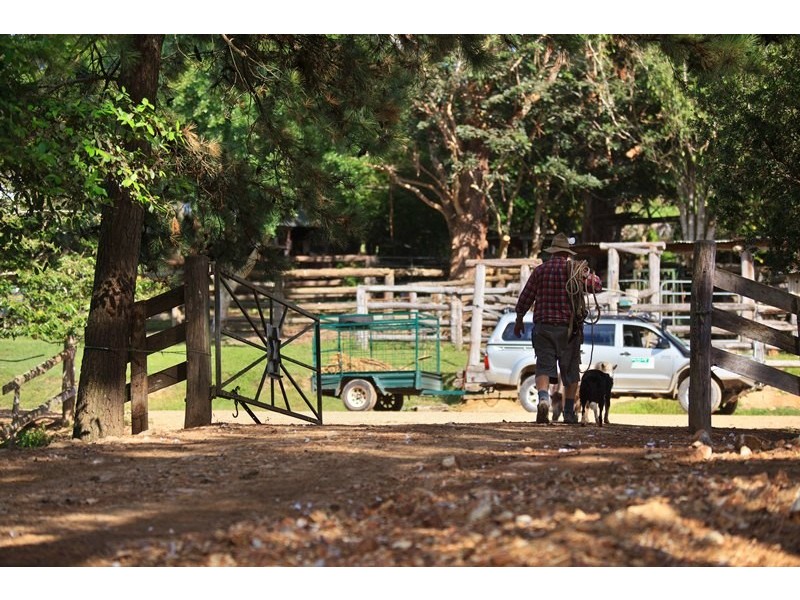 55 Happy Jack Creek Road, Ridgewood QLD 4563