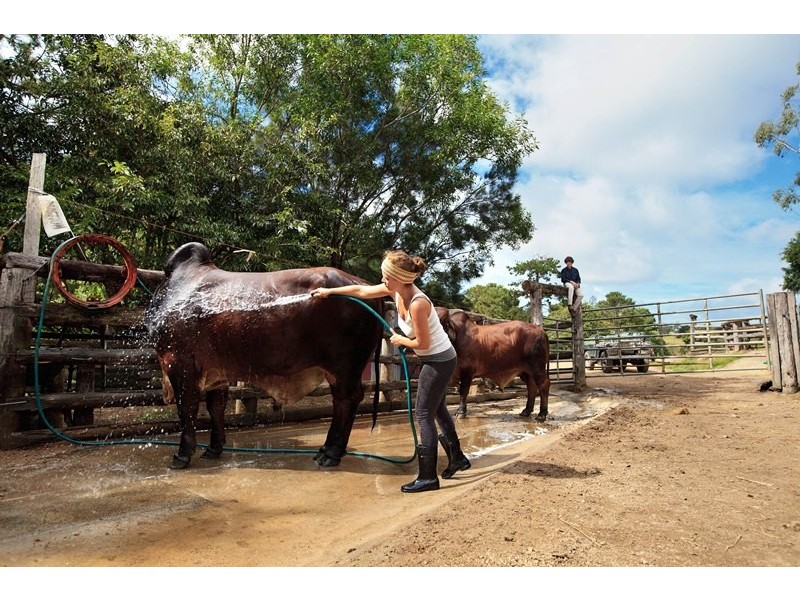 55 Happy Jack Creek Road, Ridgewood QLD 4563