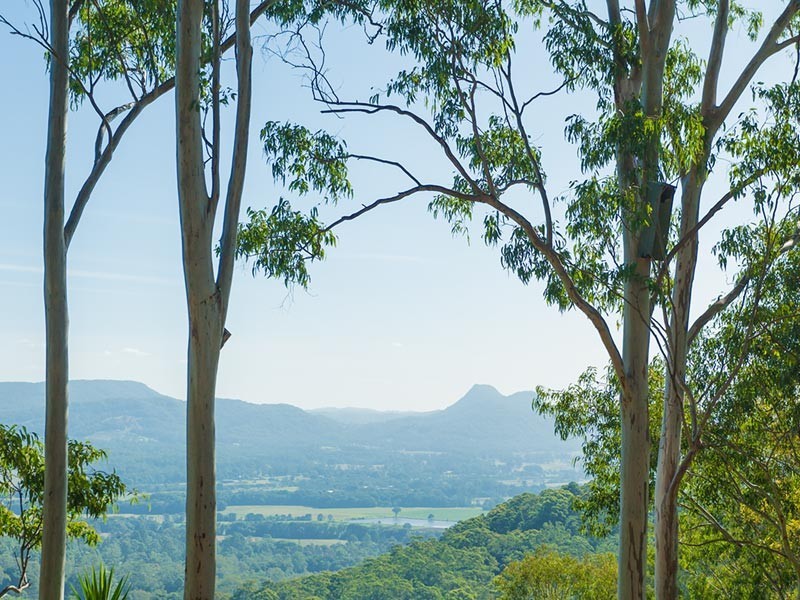 72 Elouera Drive, Ninderry QLD 4561
