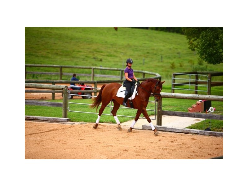 143 Dulong Road, Dulong QLD 4560