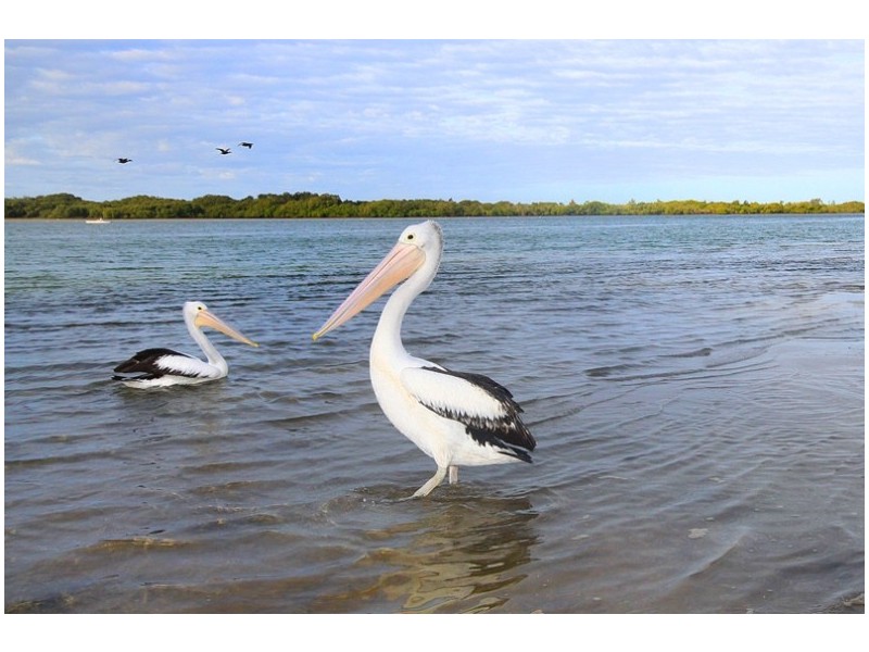 Unit 206 ‘Maroochy River Villas’ 46 David Low Way, Diddillibah QLD 4559