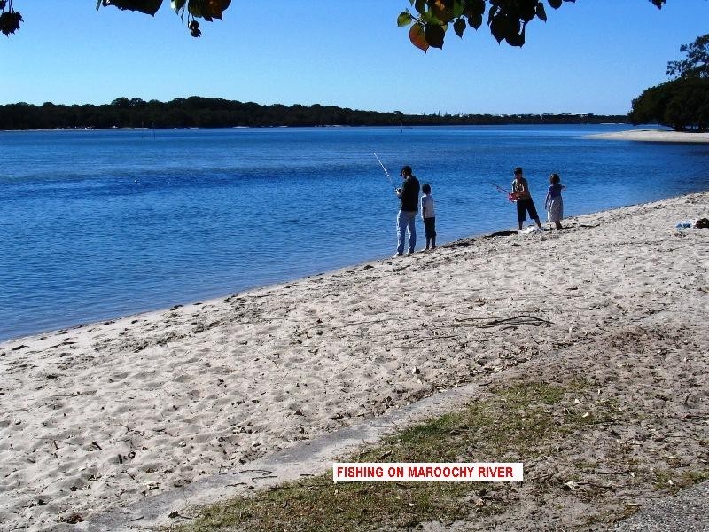 Unit 77 ‘Regents Landing’ 19 Arwen Street, Maroochydore QLD 4558