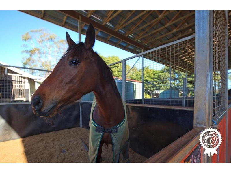 72-128 Sheahans Road, Yandina QLD 4561