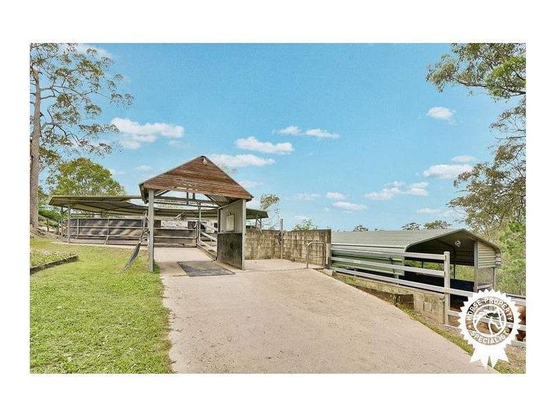337 Connection Road, Mooloolah Valley QLD 4553