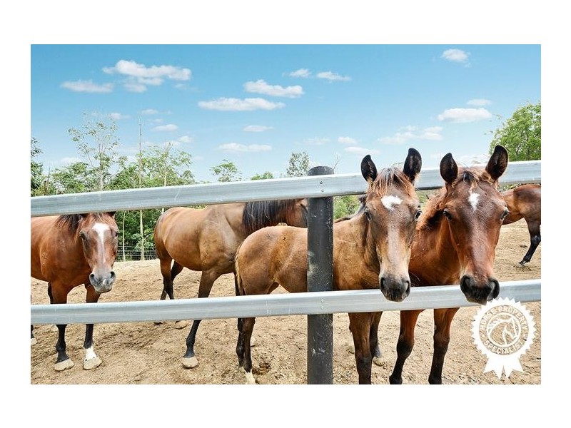 337 Connection Road, Mooloolah Valley QLD 4553