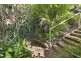 146 Mons School Road, Buderim QLD 4556