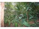 146 Mons School Road, Buderim QLD 4556