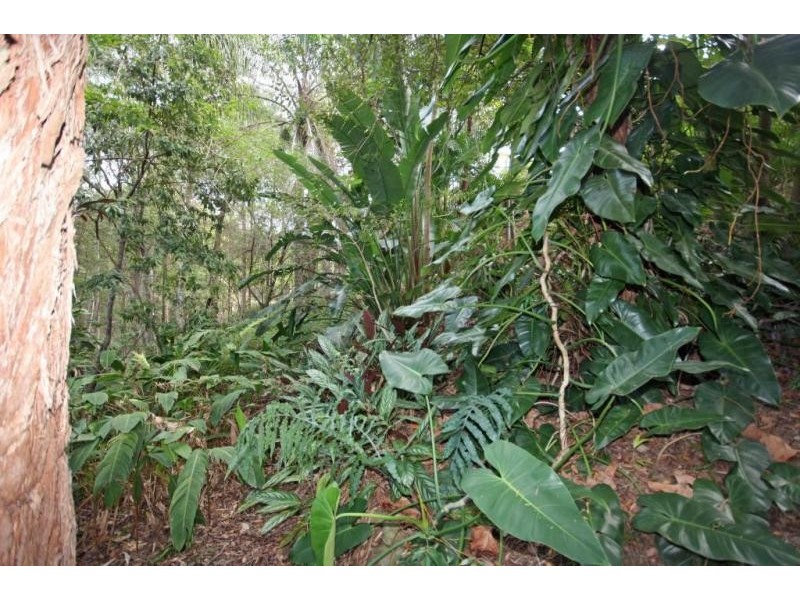 146 Mons School Road, Buderim QLD 4556