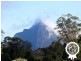 276 Barrs Road, Glass House Mountains QLD 4518