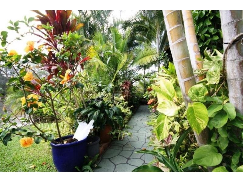 Unit 8A ‘Maroochy River Resort’ 48 David Low Way, Diddillibah QLD 4559