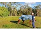 57 Coonowrin Road, Glass House Mountains QLD 4518
