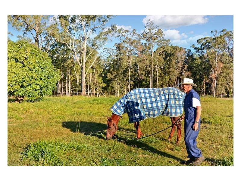 57 Coonowrin Road, Glass House Mountains QLD 4518