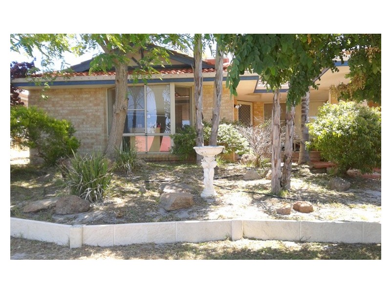 56 Veneta Circuit, Atwell WA 6164