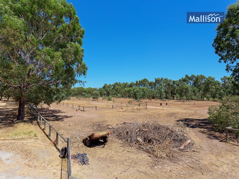 427 Young Road, Baldivis WA 6171