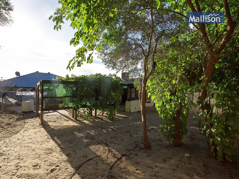 45 Virginia Avenue, Maddington WA 6109