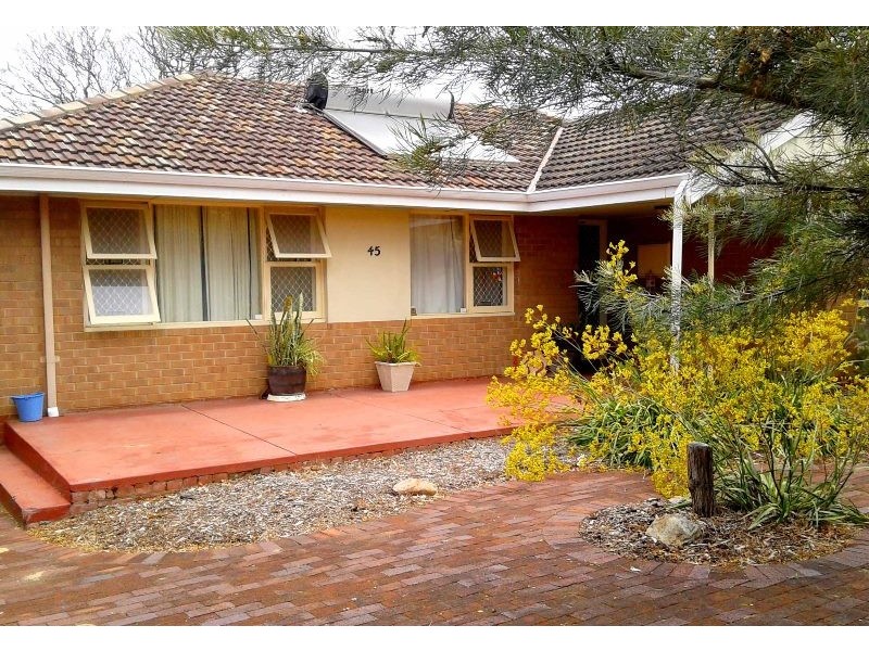 45 Bucat Street, Hamilton Hill WA 6163