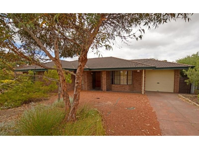 18 Osprey Drive, Yangebup WA 6164