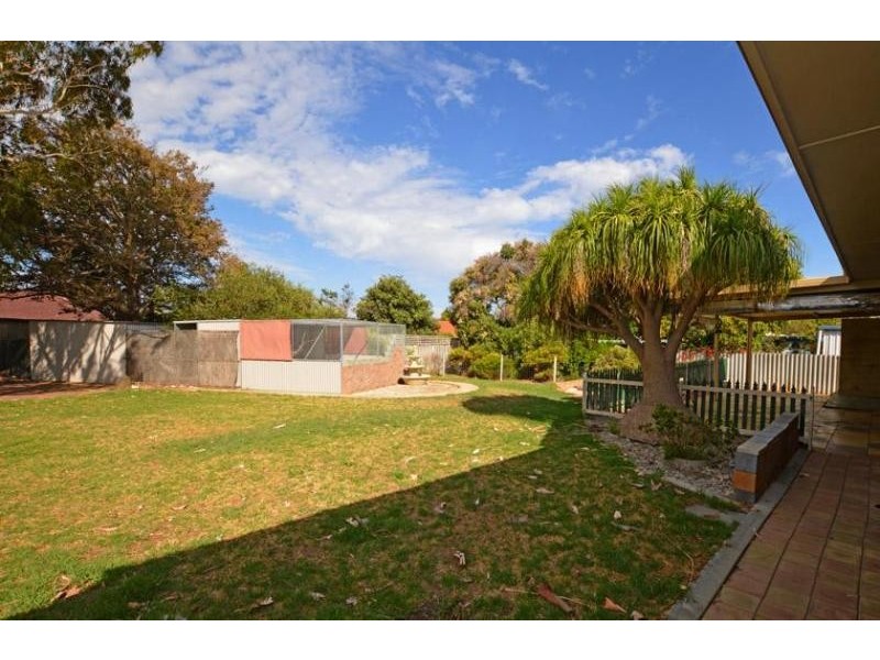 50 Norland Way, Spearwood WA 6163