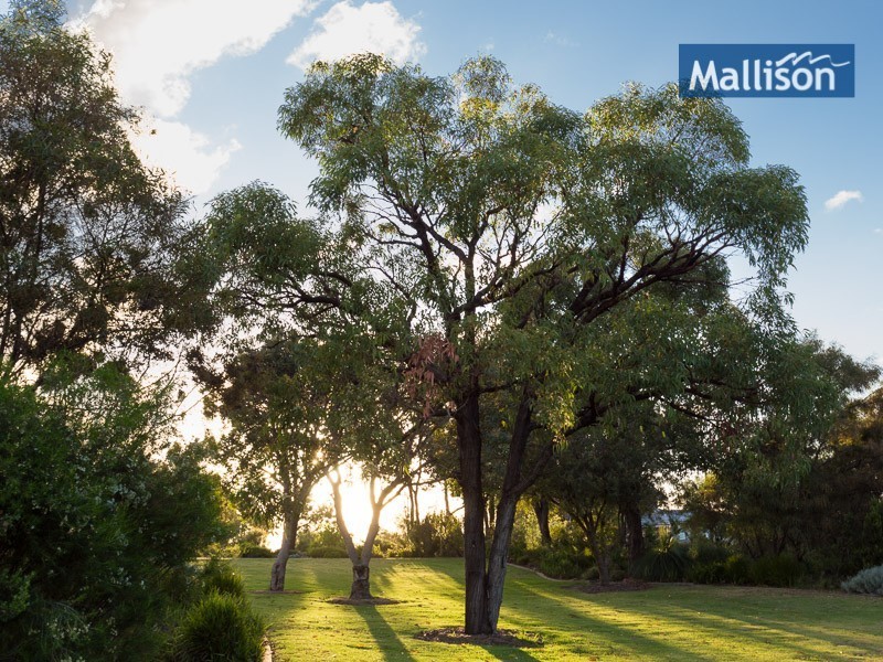 2 Labatt Gardens, Wandi WA 6167