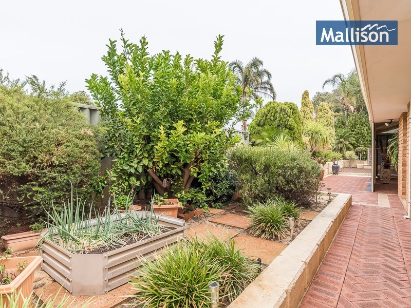 16 Breen Place, Bateman WA 6150