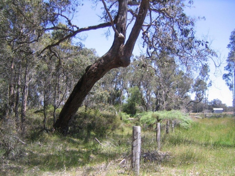 Lot 43,  Quenda Drive, Northcliffe WA 6262