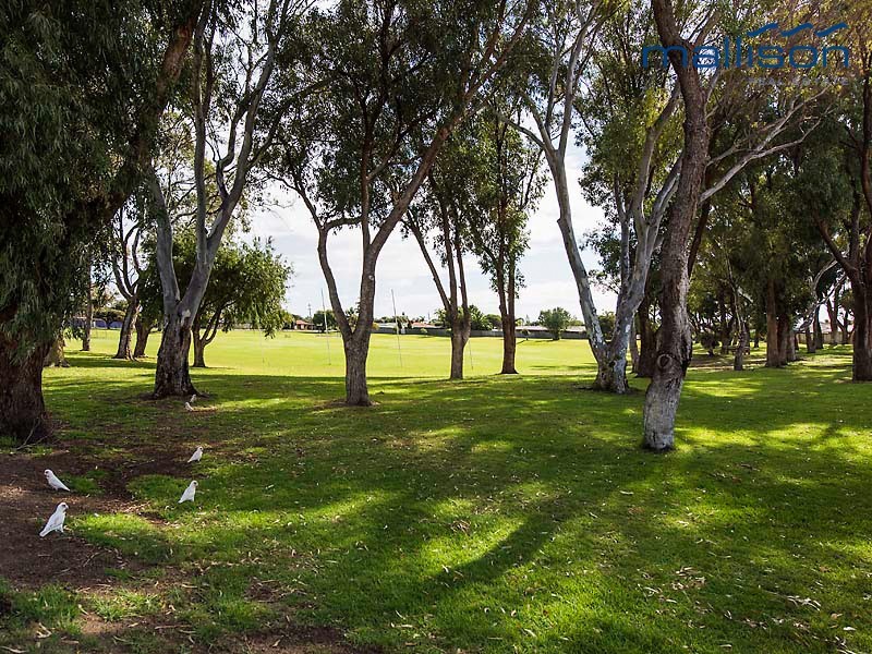 28/27-29 Goongarrie Drive, Cooloongup WA 6168