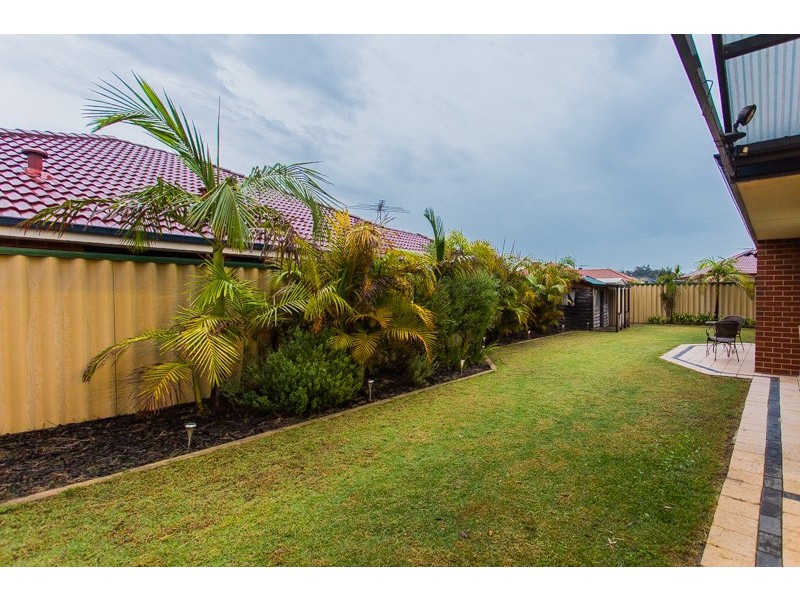 41 Chieftain Street, Bertram WA 6167