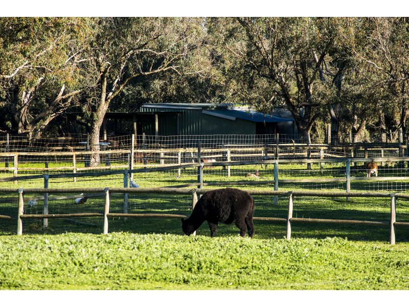 23 Blue Gum Way, South Yunderup WA 6208