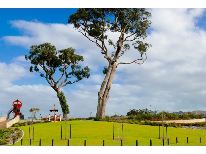 7 Dunrod Rise, Baldivis WA 6171