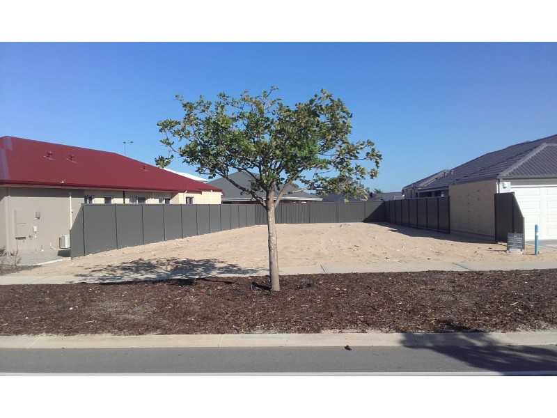 92 Gracefield Boulevard, Harrisdale WA 6112