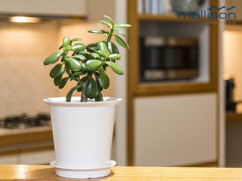 3 Tucker Court, Canning Vale WA 6155