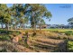 3 Molonglo Crescent, Baldivis WA 6171
