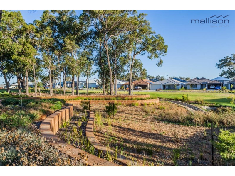 3 Molonglo Crescent, Baldivis WA 6171