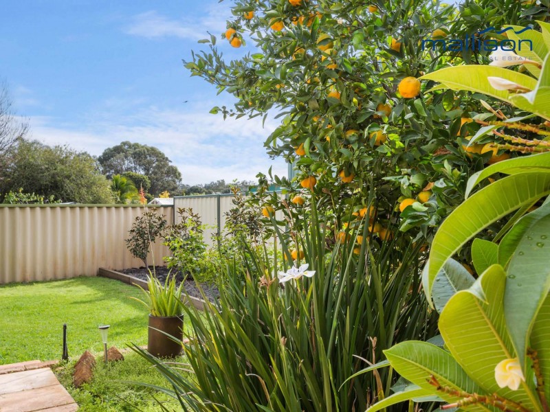 27 Farmhouse Drive, Bibra Lake WA 6163