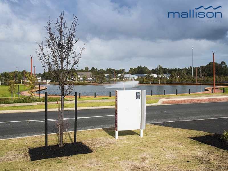 5 Stillwater Drive, Baldivis WA 6171
