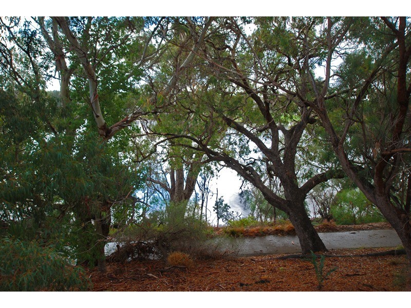 14/5 Minora Place, Rivervale WA 6103