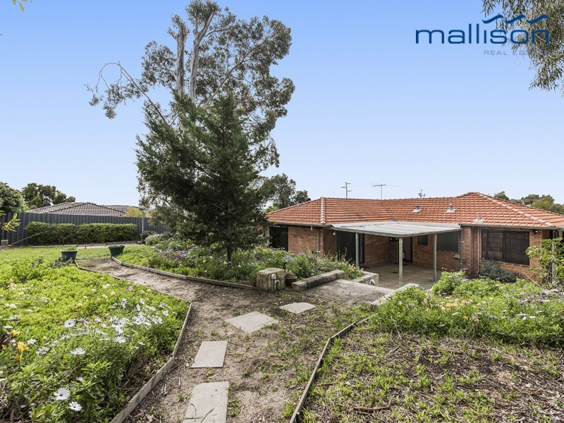 17 Moorhen Drive, Yangebup WA 6164