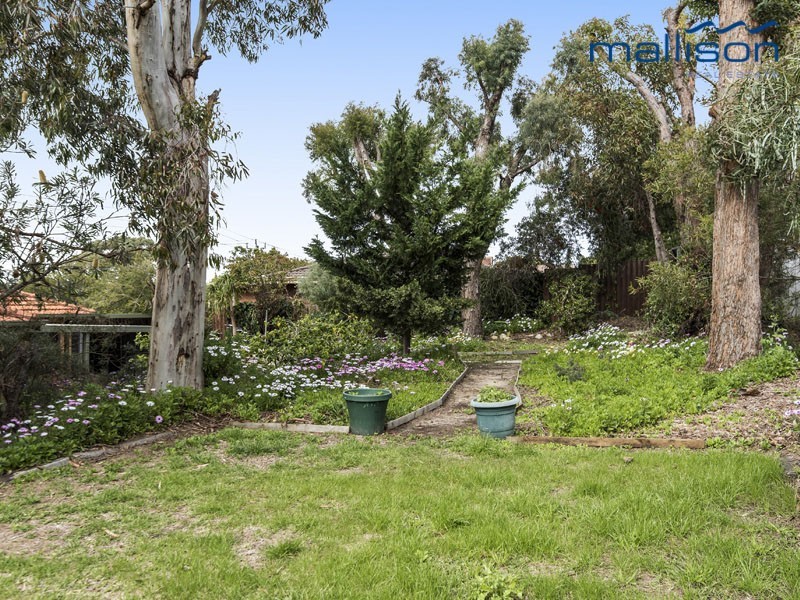17 Moorhen Drive, Yangebup WA 6164